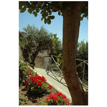 Al Poggio Antico Amalfi