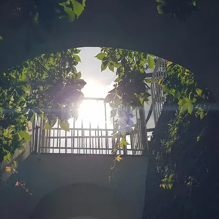 Al Poggio Antico Amalfi