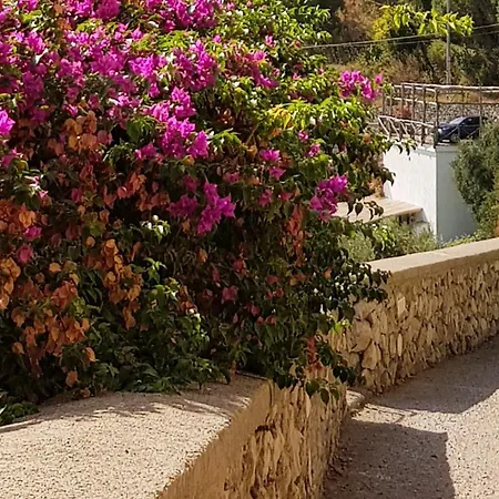 Ξενοδοχείο με διαμερίσματα Al Poggio Antico 3*